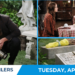 Days of our lives teaser photos: a tale of two love stories