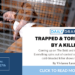 The bold and the beautiful spoilers: trapped & tormented by a killer