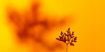 Dool spoilers: owen pushes alex, kate outmaneuvers johnny – my take!