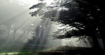 Gh: nathan's secret legacy, britt & joss unite – port charles explodes!