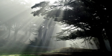 Gh: nathan's secret legacy, britt & joss unite – port charles explodes!